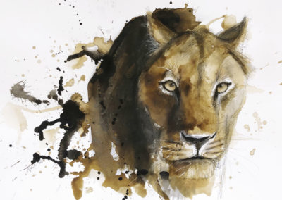Animaux | encre
